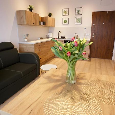 Apartament Na Piernikowym Z Miejscem Postojowym Stary Toruń Kültér fotó